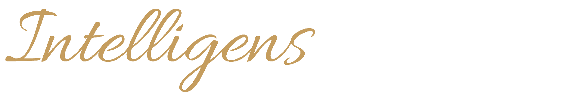 Intelligens Ismerkedés